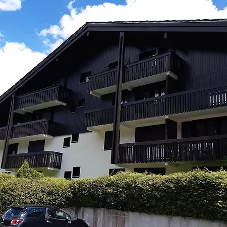 Apartamento Bel Rénové à Avec Vue Sur Le Mont-blanc, Parking Et Animaux Admis - Fr-1-517-51