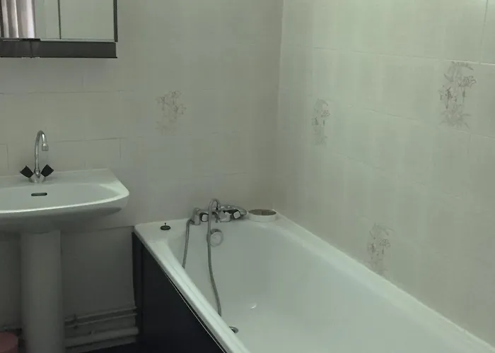 Bel Renove A Avec Vue Sur Le Mont-blanc, Parking Et Animaux Admis - Fr-1-517-51 Chamonix