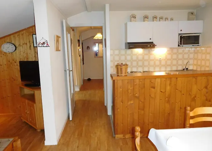 Bel Renove A Avec Vue Sur Le Mont-blanc, Parking Et Animaux Admis - Fr-1-517-51 Appartement *