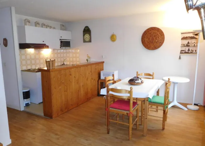 Bel Renove A Avec Vue Sur Le Mont-blanc, Parking Et Animaux Admis - Fr-1-517-51