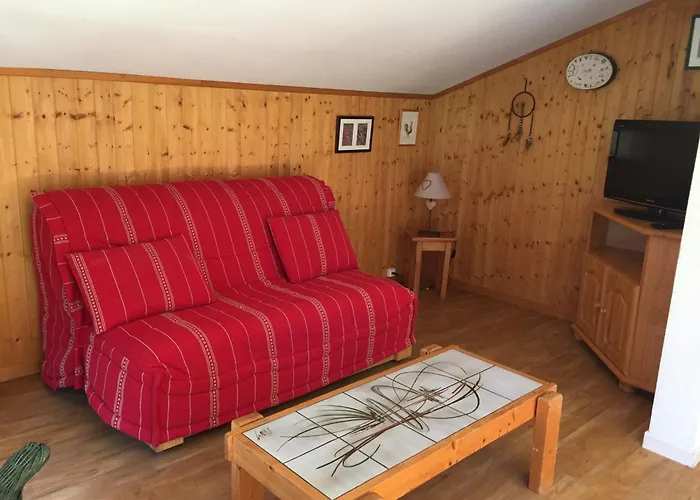 Bel Renove A Avec Vue Sur Le Mont-blanc, Parking Et Animaux Admis - Fr-1-517-51 * Chamonix
