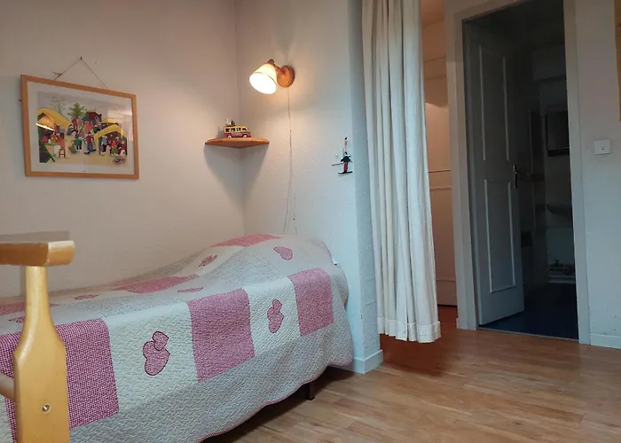 Bel Renove A Avec Vue Sur Le Mont-blanc, Parking Et Animaux Admis - Fr-1-517-51 *