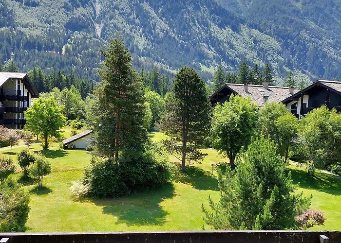Bel Renove A Avec Vue Sur Le Mont-blanc, Parking Et Animaux Admis - Fr-1-517-51 * Chamonix