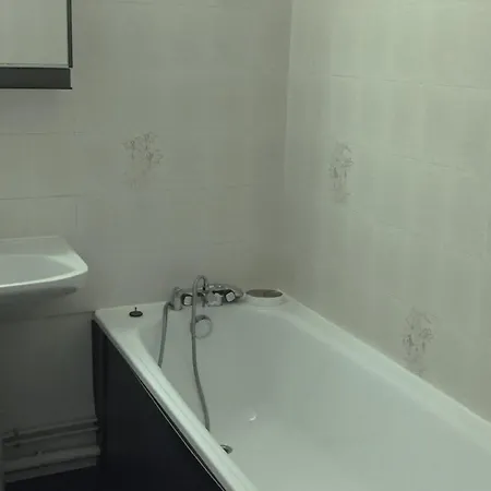 Bel Renove A Avec Vue Sur Le Mont-blanc, Parking Et Animaux Admis - Fr-1-517-51 シャモニー