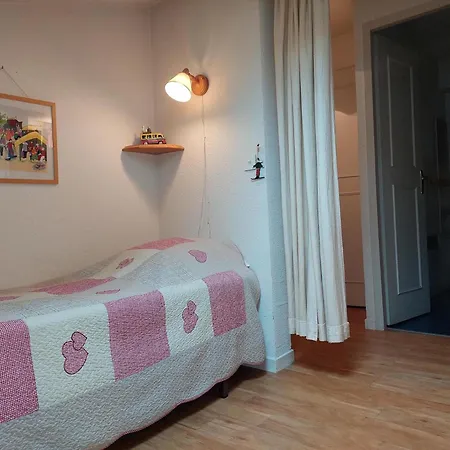 Bel Renove A Avec Vue Sur Le Mont-blanc, Parking Et Animaux Admis - Fr-1-517-51 *